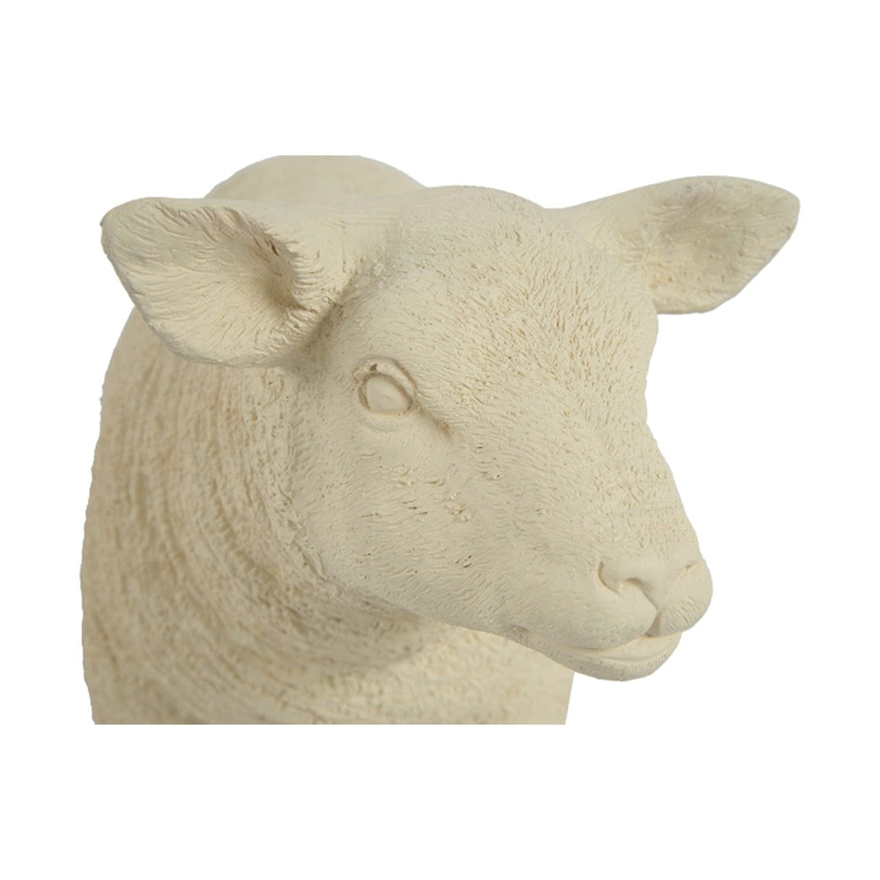 Off White Texelaar Lamb