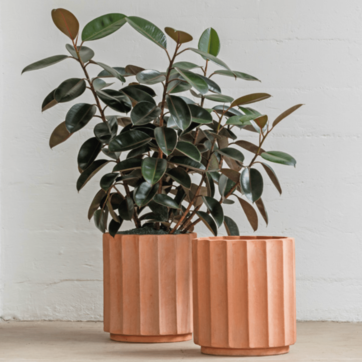 culley terracotta pot planter Boxhill Italian Terracotta Column Pot – Handmade Clay — Boxhill & Co., LLC