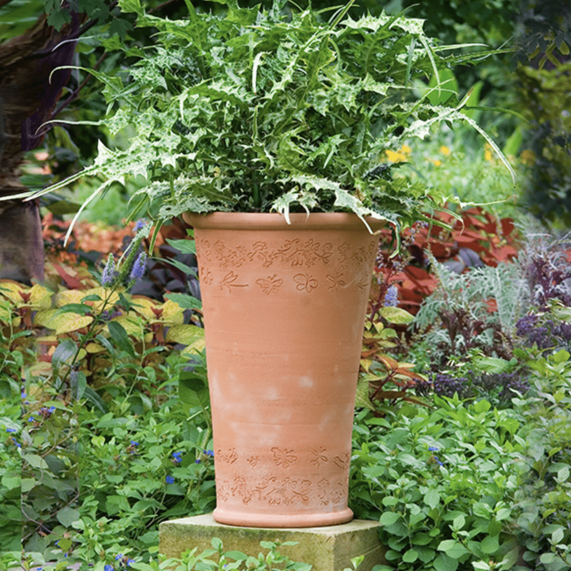 hand thrown terracotta plant pots Critter Pot by Abbie Zabar | Handmade Terra Cotta