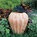 Boxhill's Italian Terracotta Messina Vase lifestyle