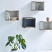  Boxhill's blue / white Wall-mounted Teak Wood Square Shelves mounted on white wall and plants in a white planter