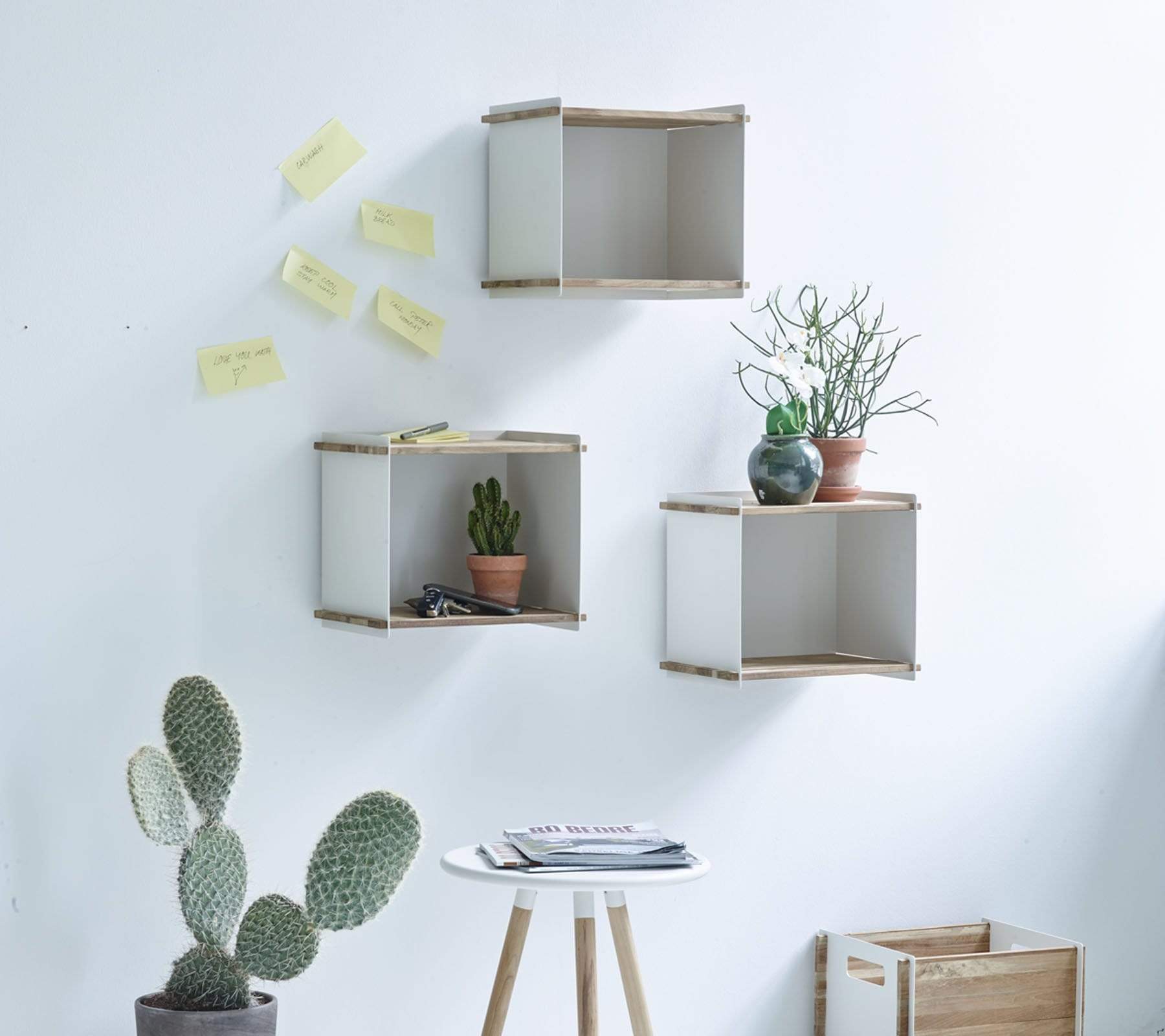  Boxhill's white Wall-mounted Teak Wood Square Shelves mounted on white wall with cactus plants, white round side table and teak box