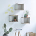  Boxhill's white Wall-mounted Teak Wood Square Shelves mounted on white wall with cactus plants, white round side table and teak box