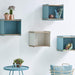 Boxhill's blue / white Wall-mounted Teak Wood Square Shelves mounted on white wall with blue round side table and footstoll