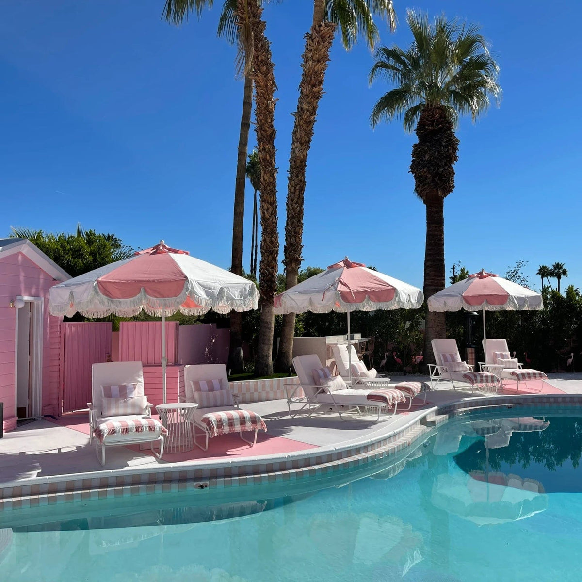 Boxhill Palm Springs Umbrella — Boxhill & Co., LLC
